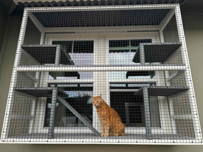 Window Catio - Costa Mesa, CA